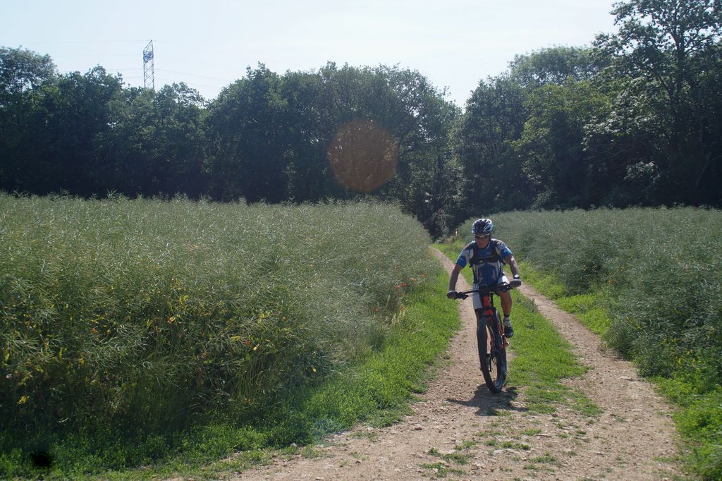 LA91-2018 Orgemont 0057