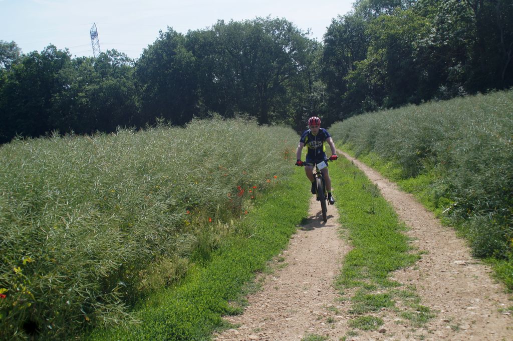 LA91-2018 Orgemont 0084