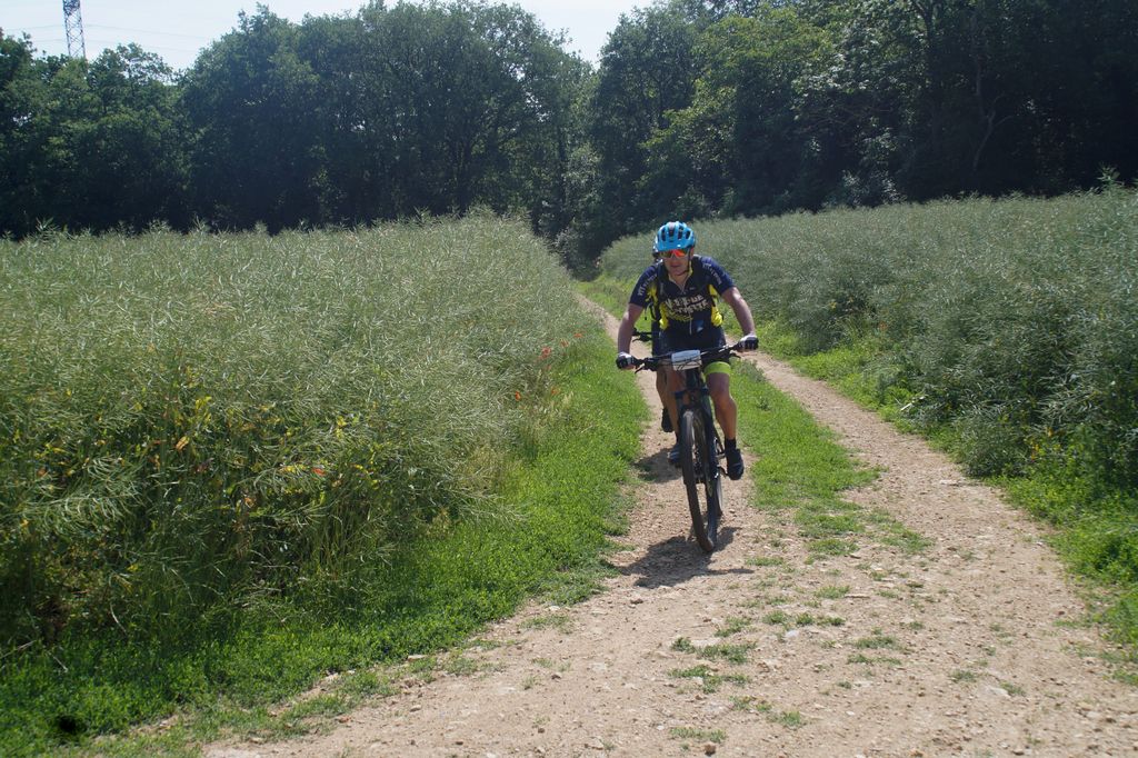 LA91-2018 Orgemont 0086