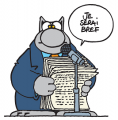 Le chat